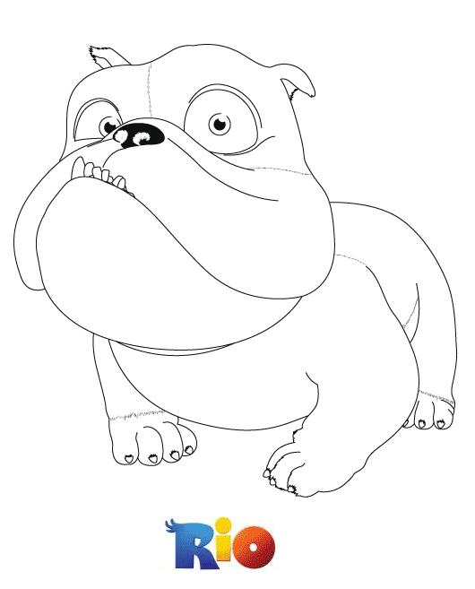 coloriage rio luis le chien